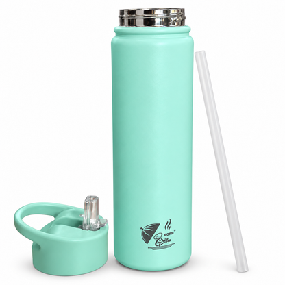 Born Chef Stainless Steel Insulated Water Bottle with Straw Sipper Lid - Mint Green Matte Finish