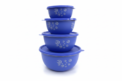 Blue Container Set