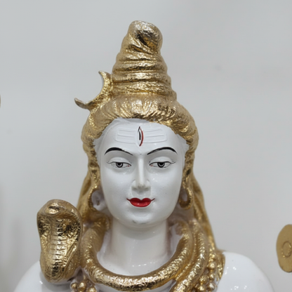 Shiva Idol Face Close-up
