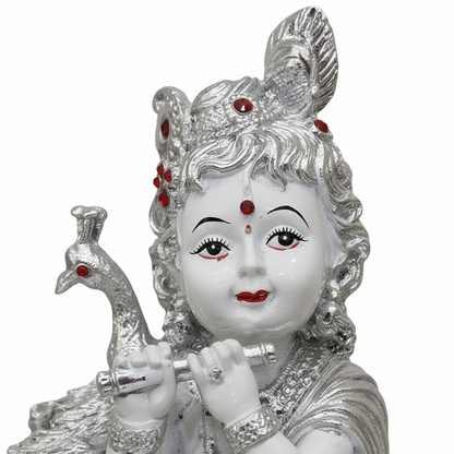 Silver Bal Gopal Face Close-up