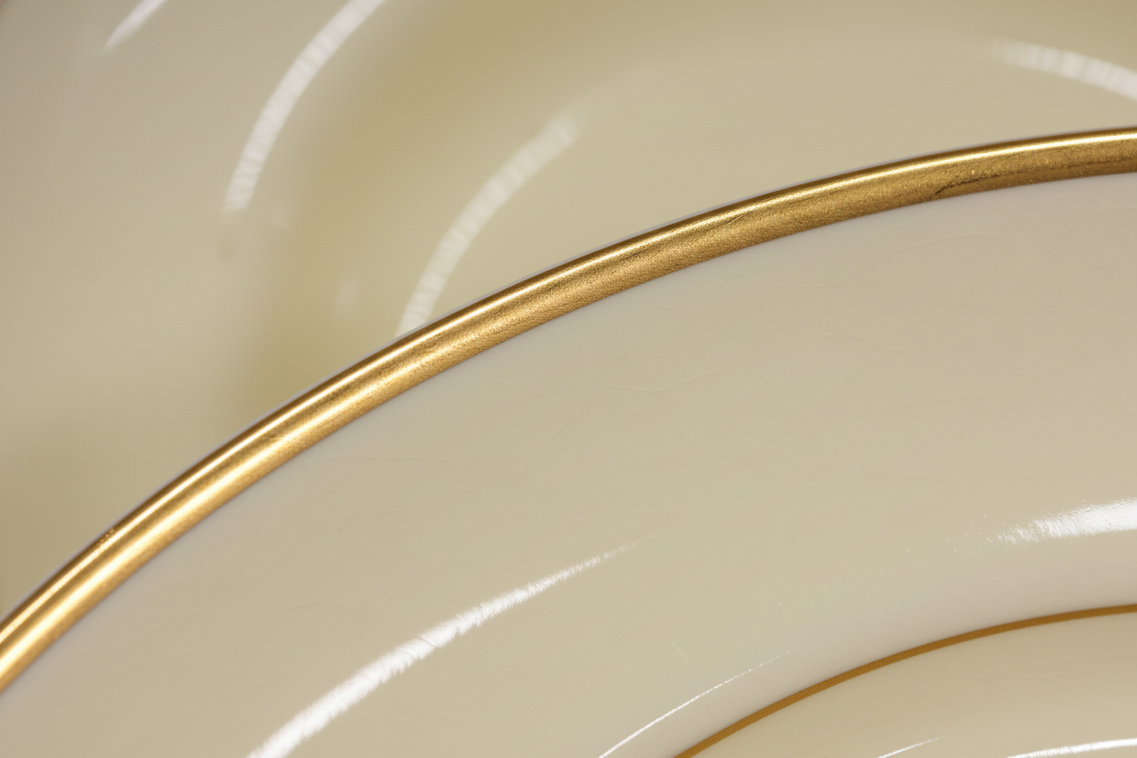 Premium Ceramic Dinner Plate - Close-up Gold Rim Macro Detail Shot