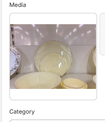 Premium Ceramic Dinner Plate Set – Ivory & Gold Rim | Elegant Dining