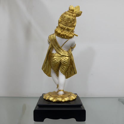 Krishna Idol Back View