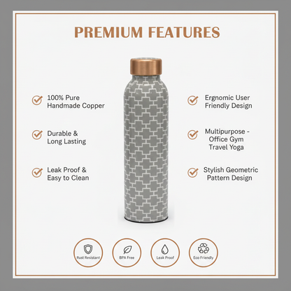 Premium Features Infographic